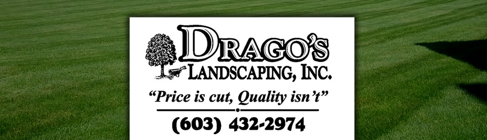 Dragos Landscaping